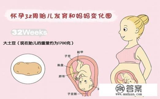 孕80天的时候,双胞胎胎儿在肚子里的样子是怎么样的? 孕80天的时候,双胞胎胎儿在肚子里的样子是怎么样的?