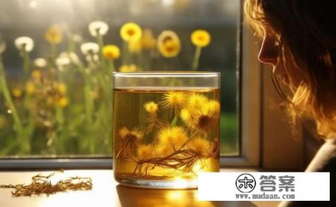 长期喝干蒲公英水好吗，干蒲公英泡水的功效与作用？长期饮用干蒲公英水对健康有何益处？其功效与作用具体如何？