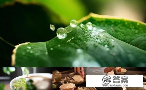 蝉蜕的做法？蝉蜕可否制作成药膳？