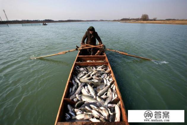 鄂州十大必吃馆子？