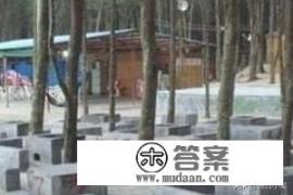 深圳烧烤的地方有哪些？深圳烧烤场地点大全介绍？