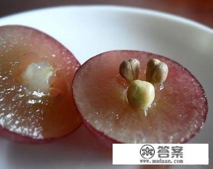 有人知道葡萄籽的功效与作用吗? 有人知道葡萄籽的功效与作用吗?