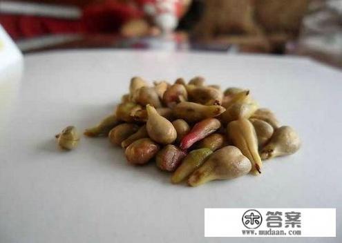 有人知道葡萄籽的功效与作用吗? 有人知道葡萄籽的功效与作用吗?