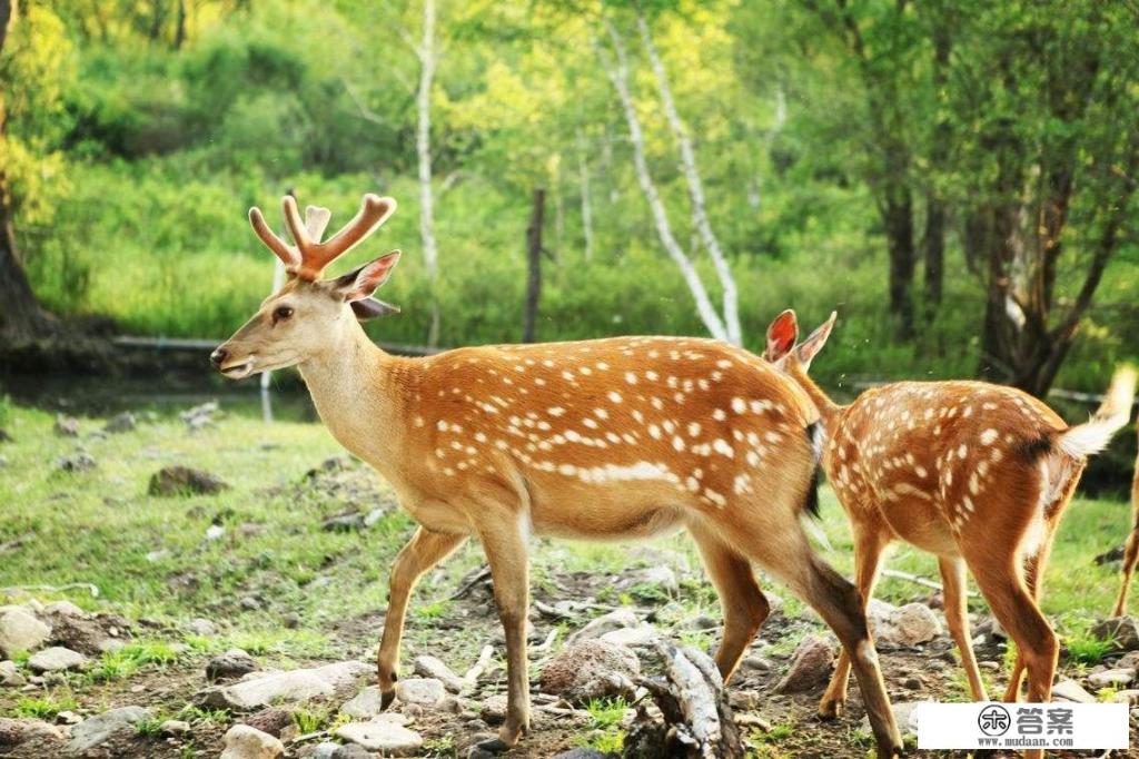 辽源特色美食排名？
