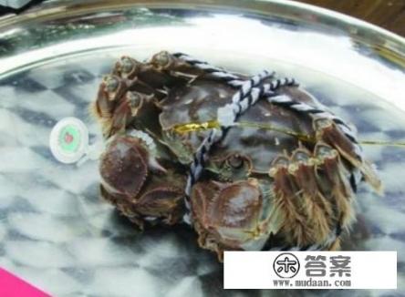 洪湖大闸蟹为什么这么有名？