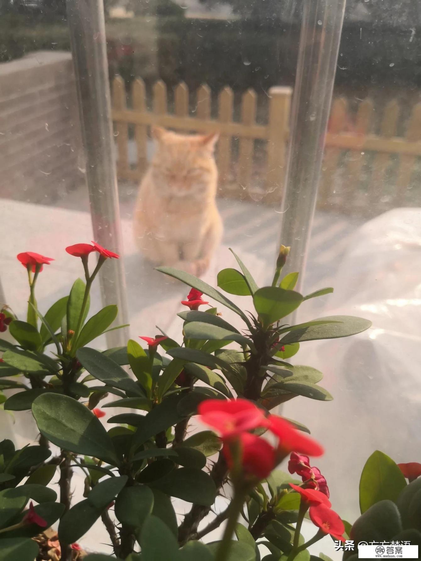 人倒立喝水会怎么样？