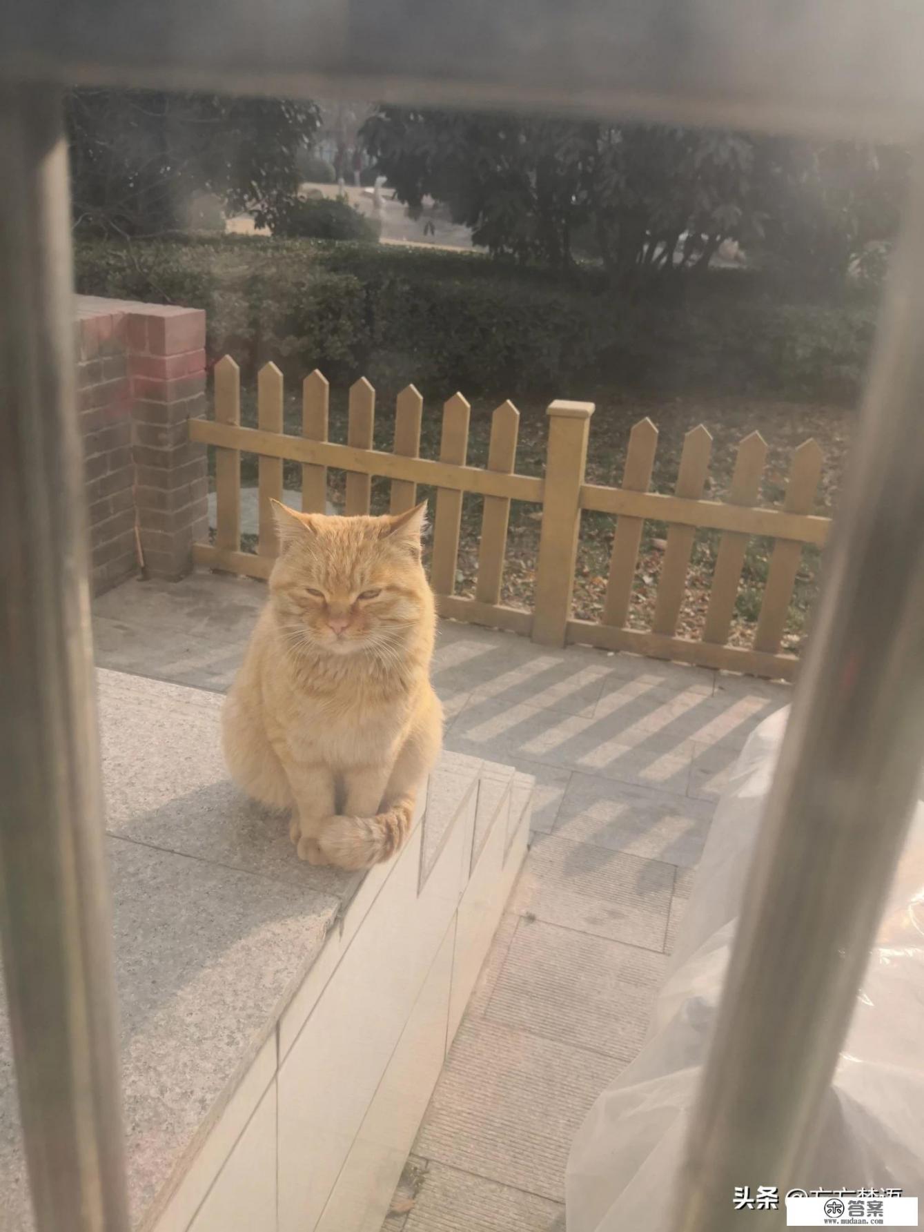 人倒立喝水会怎么样？