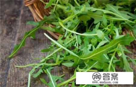 阳和菜怎么做好吃又简单? 阳和菜怎么做好吃又简单?