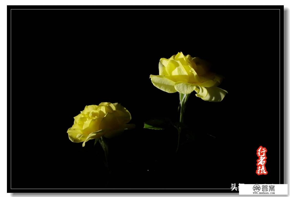 带家有萌宝网名？