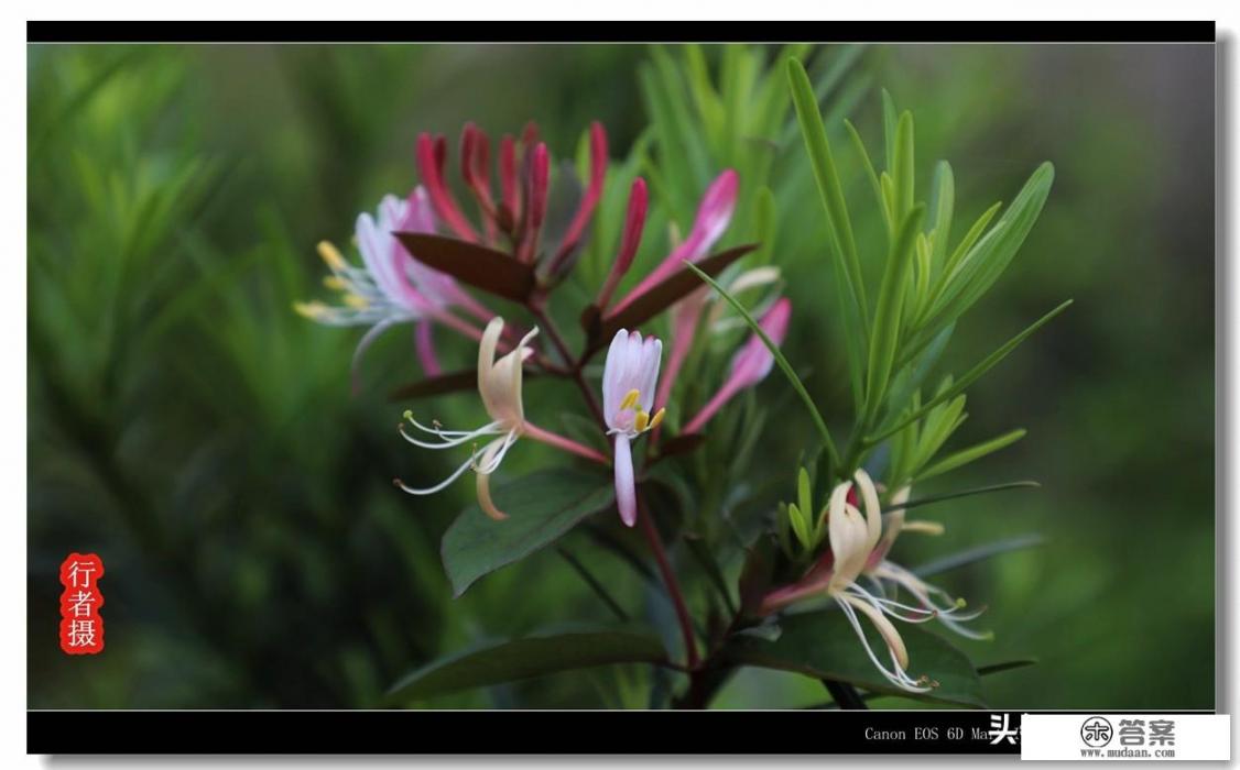 带家有萌宝网名？