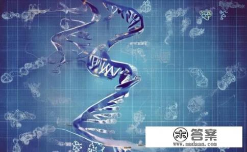 DNA 是基因吗？DNA与基因，本质区别是什么？
