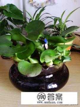 有哪几种净化水的方法？