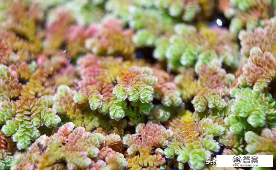 有哪几种净化水的方法？