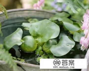 有哪几种净化水的方法？