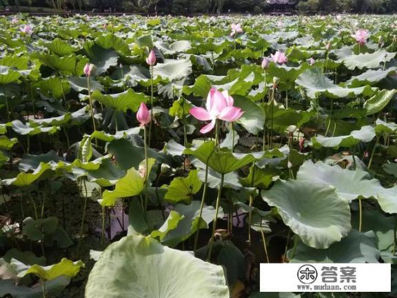 在校大学生怎么创业? 在校大学生怎么创业?