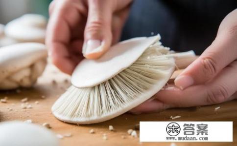 平蘑菇怎么清洗?如何正确清洗平菇以保持新鲜和口感?