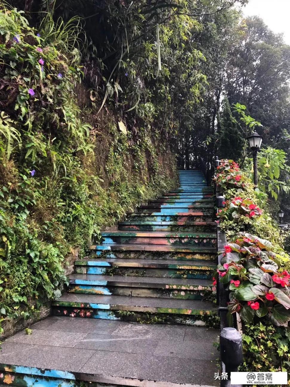 兰州哪个酒吧有较好的演唱表演？