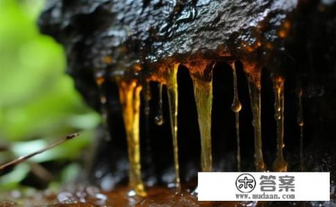 下面流出来像水的分泌物，还有腥臭味？这是什么分泌物？为何带有异味？