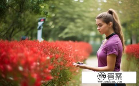 枸杞能减肥吗？枸杞能否有效辅助减肥？