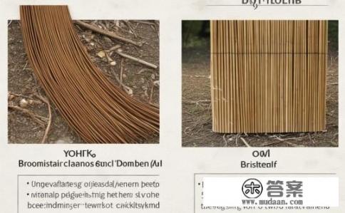 扫帚尾与芒花尾的区别？扫帚尾与芒花尾有何不同，扫帚尾长于芒花尾，特征及用途如何?