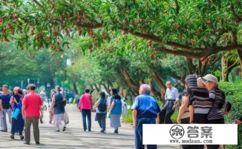 深圳荔枝公园老人多吗,深圳荔枝公园老年人占比多少? 深圳荔枝公园老人多吗,深圳荔枝公园老年人占比多少?