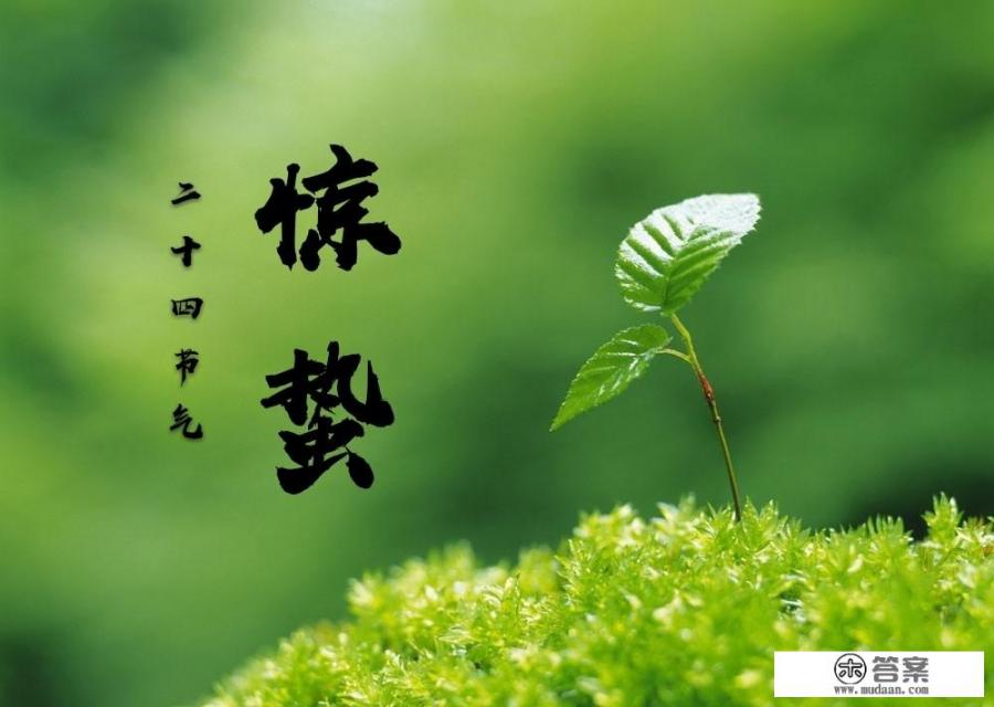 惊蛰时节，吃苹果梨子和银耳百合煮汤，不仅滋养身体，更寓意着美好的愿景。