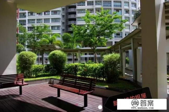 有什么是你去过新加坡才知道的？