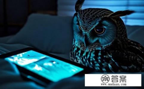 半夜躲被窝里看什么好?深夜夜猫子,追剧、读书还是独享电影影人生活 半夜躲被窝里看什么好?深夜夜猫子,追剧、读书还是独享电影影人生活