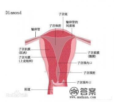 为什么女生来月经时，有的人会痛不欲生，有的人却没事呢？