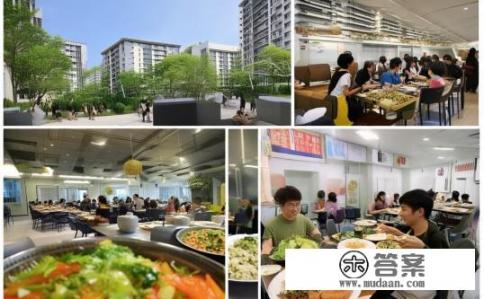 八一农垦大学宿舍食堂怎么样？八一农垦大学宿舍环境如何？食堂伙食质量如何？设施完善程度如何？学生满意度如何？