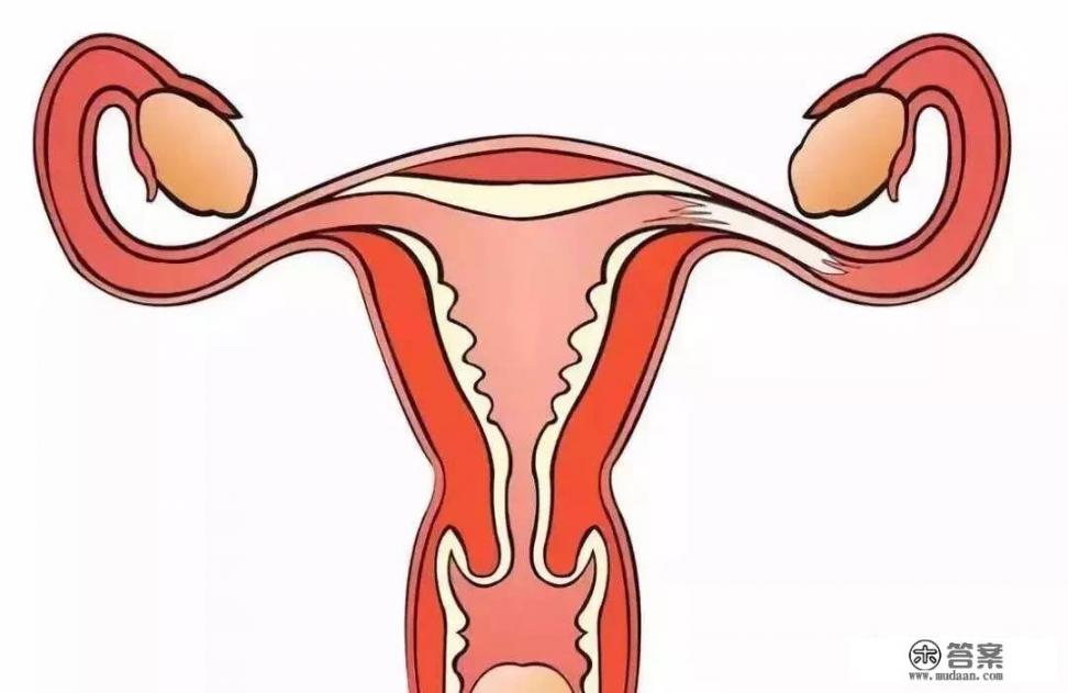 输卵管粘连是怎么造成的？该注意些什么？