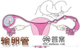 输卵管粘连是怎么造成的？该注意些什么？