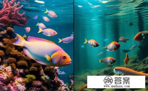 石斑鱼是养殖还是野生?石斑鱼的野生和养殖环境差异大,哪一种养殖方式更适应其生存条件? 石斑鱼是养殖还是野生?石斑鱼的野生和养殖环境差异大,哪一种养殖方式更适应其生存条件?