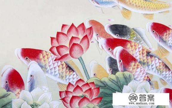 锦鲤的意思和含义是什么？