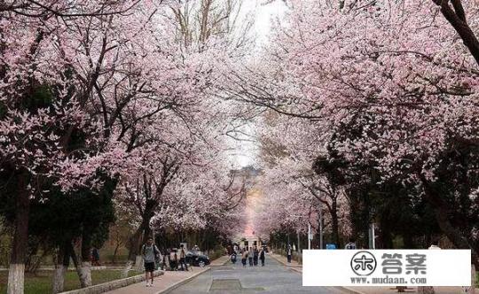 武汉大学的正大门是东门还是西门? 武汉大学的正大门是东门还是西门?