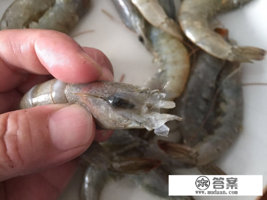 水煮冻虾怎么煮才好吃? 水煮冻虾怎么煮才好吃?