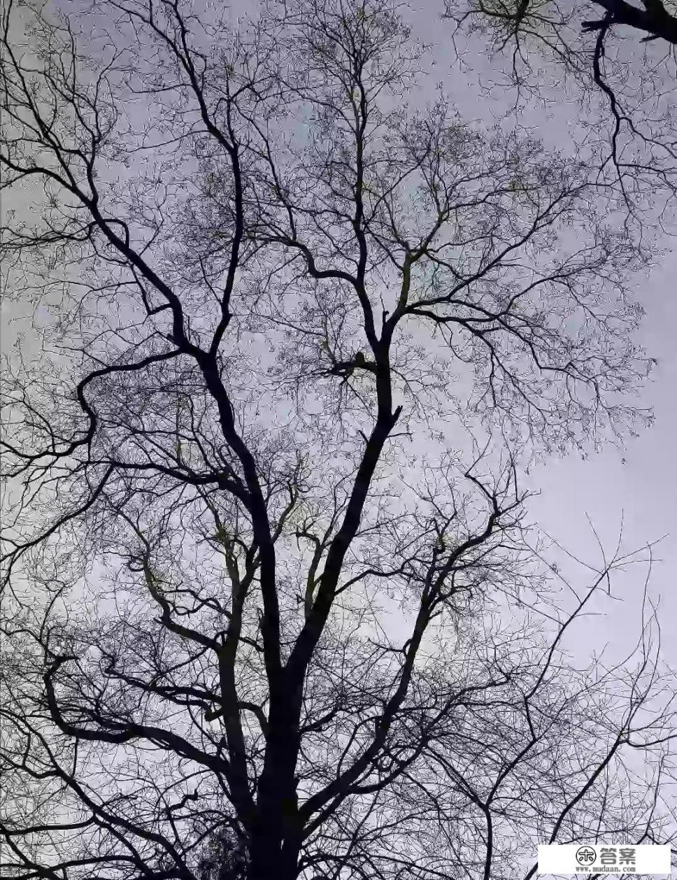 怎样看待6所在武汉部属高校半数本科生起薪超5000元？