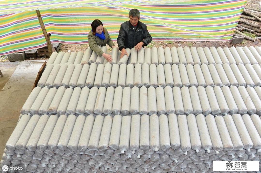 大家好！我种植袋料香菇，是春种秋收的那种，不知道怎样才能卖个好价钱？