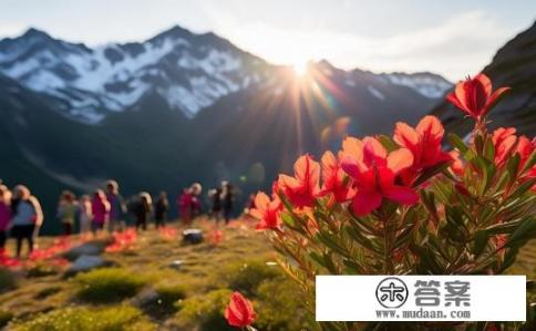 红景天功效与作用？红景天的功效及临床应用，揭示其保健潜力