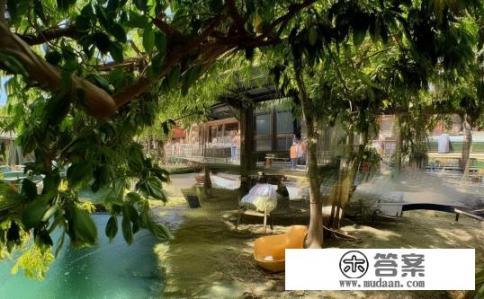 最后的守护者剧情深度解析，未解之谜与角色命运探讨，结尾守护者，黑暗面的揭开，角色命运背后的谜团探索