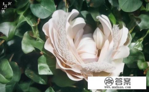 喜扑游戏主要业务？喜扑游戏的核心业务是什么？