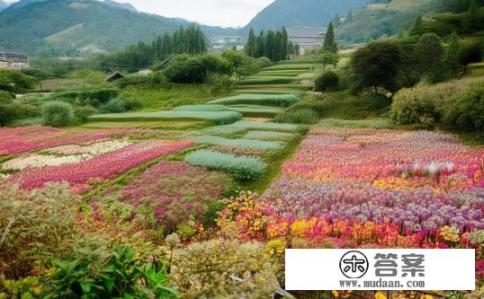 汝南绿色土特产怎么样？汝南绿土特产的特点及品质如何评价？