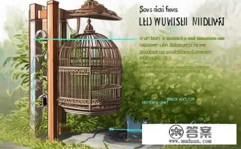 八哥的鸟笼怎么安装？如何正确安装八哥鸟笼，保障其舒适生活环境?