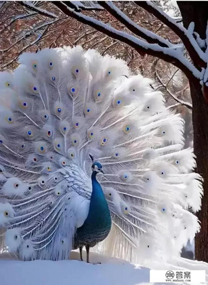 网传黄桃罐头可缓解新冠症状遭抢购，此话你会反驳吗？