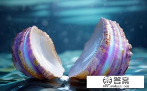 扇贝选开口的还是合上的？扇贝选开口还是闭合，哪种选择更能确保贝壳在壳内健康生长？