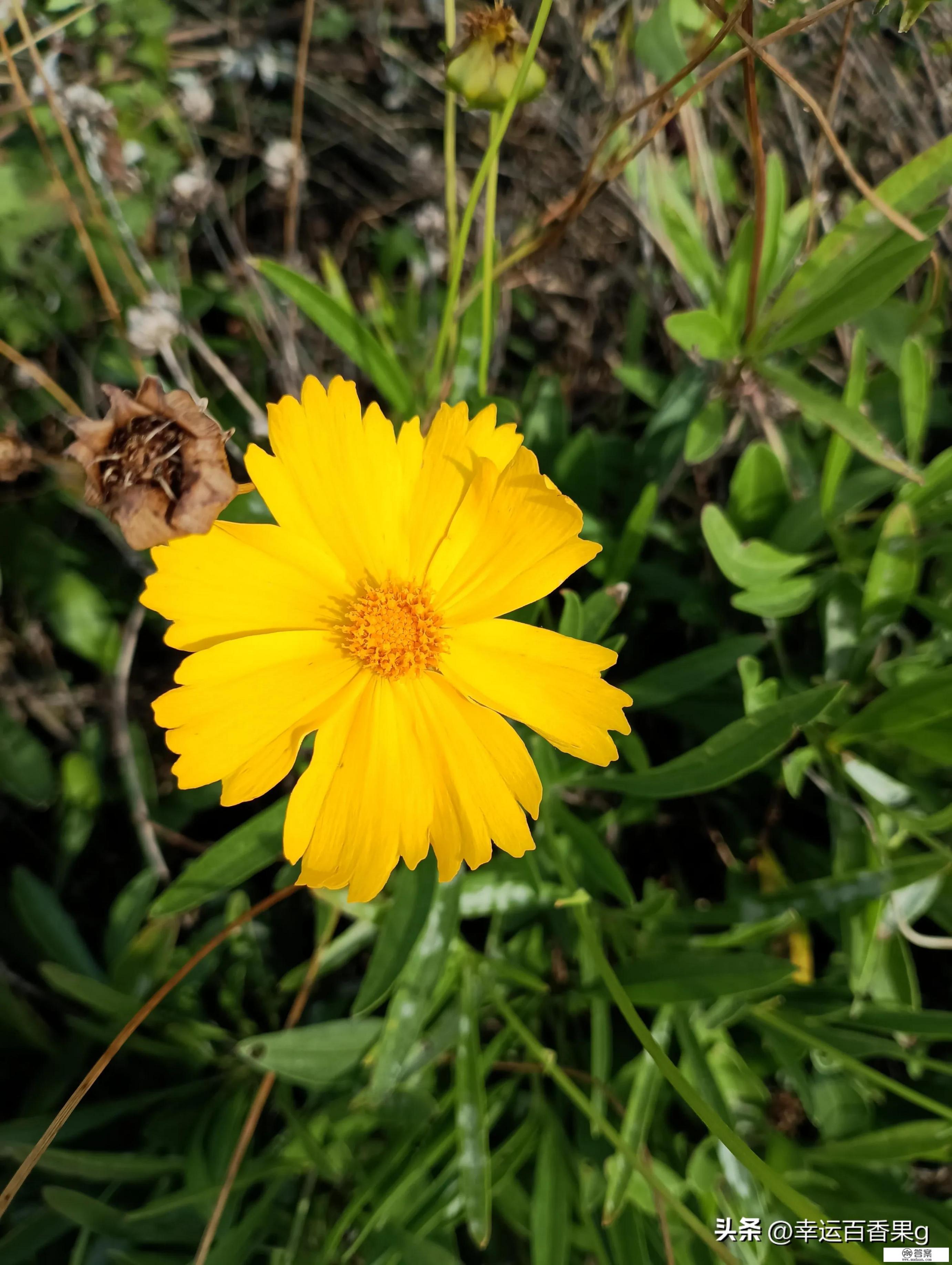 感染新冠后，如何判断“阳”转“阴”？