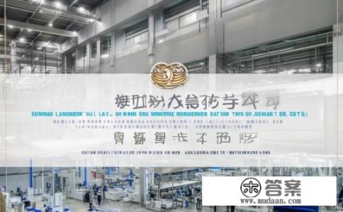 广州华昊无纺布有限公司介绍？广州华昊无纺布公司是什么类型的企业，有何主营业务及发展历程?