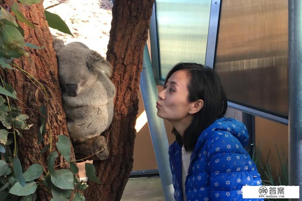 去澳大利亚旅游时应该穿什么？