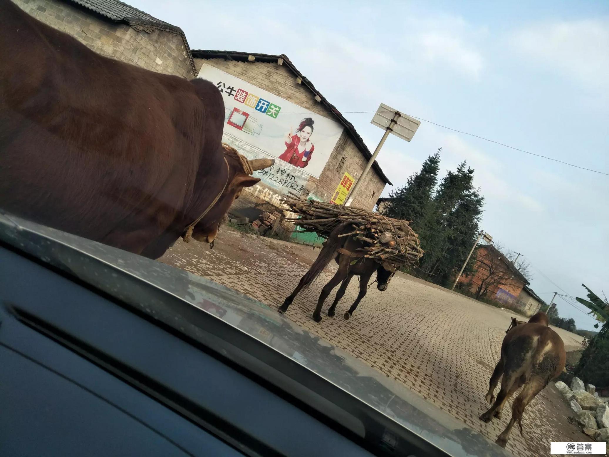 80后的孩子和现在孩子对比,有哪些明显的表现? 80后的孩子和现在孩子对比,有哪些明显的表现?