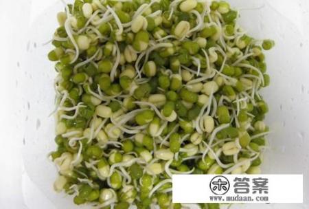 水培豆芽(绿豆)全过程。有图片更好？